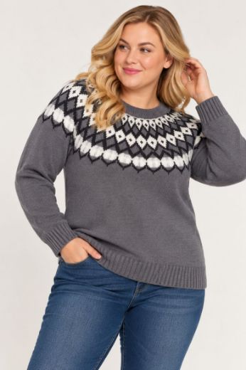 Plus size veliki brojevi Pulover dugih rukava za punije